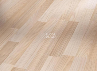 Ламинат Parador Basic Plus 200 1426399 Ясень Шлифованный фото 1 | FLOORDEALER